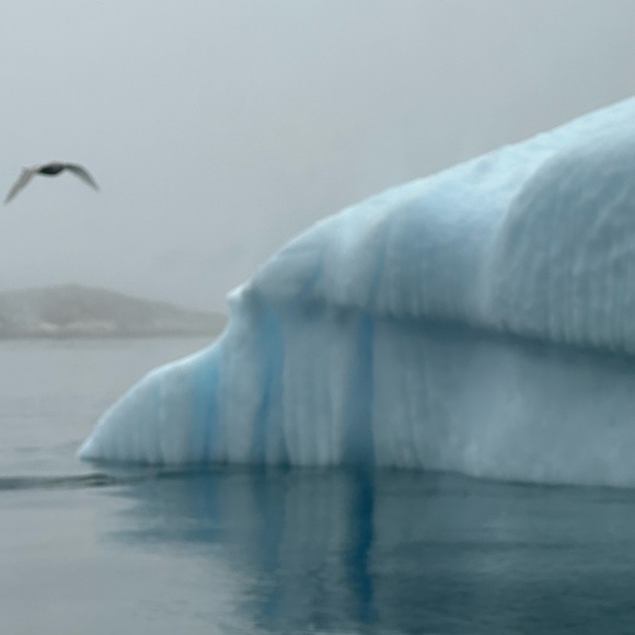 Meet your Posher, Patricia - Picture 7 of 9